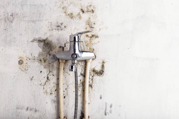 Best Water Damage Restoration  in Island Heights, NJ