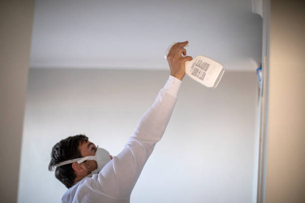 Best Home Mold Removal  in Island Heights, NJ