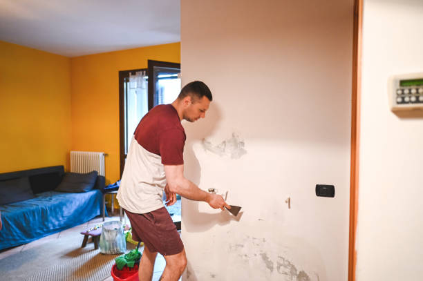 Mold Testing and Removal in Island Heights, NJ